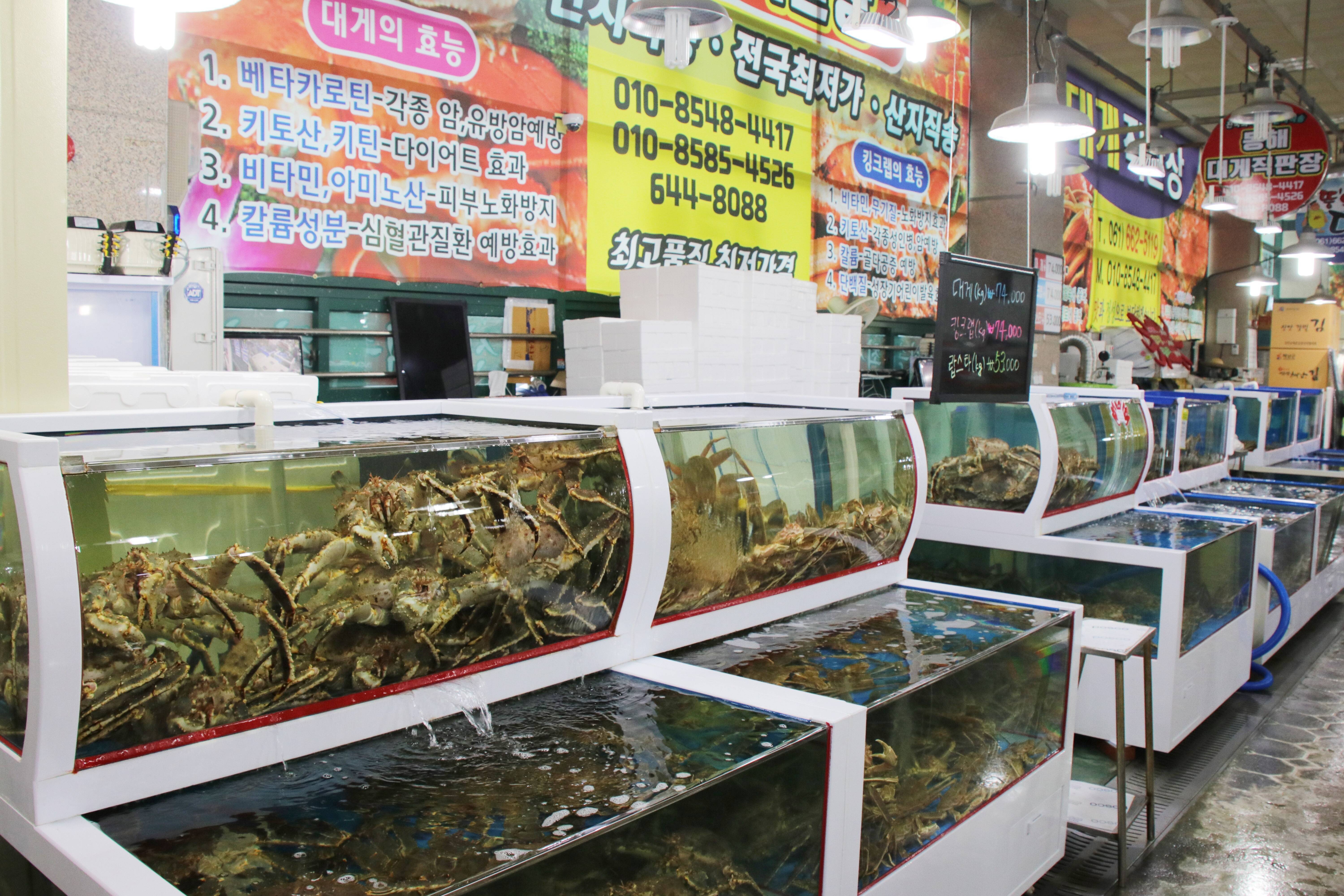 수산물특화시장_4
