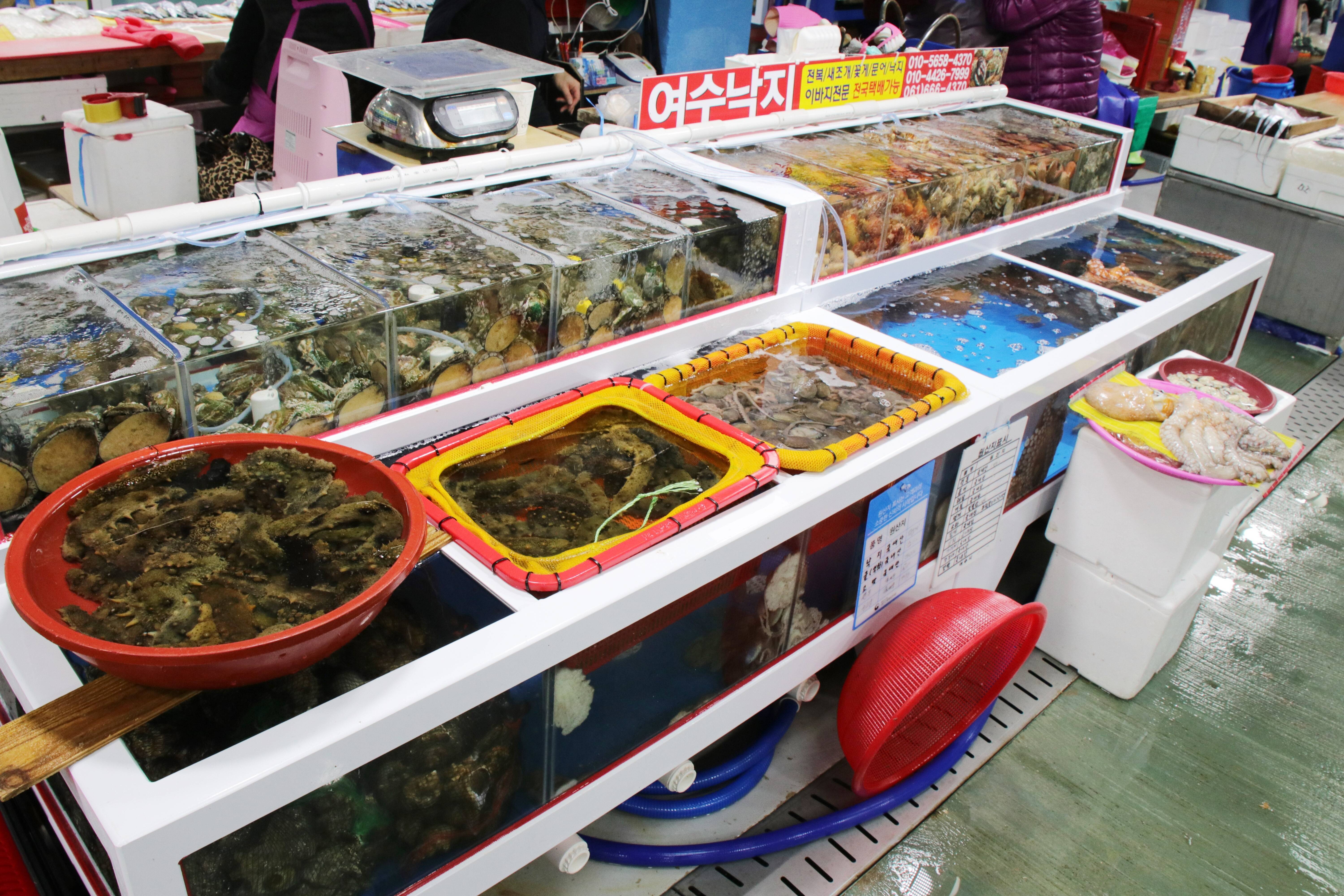 여수수산시장_3