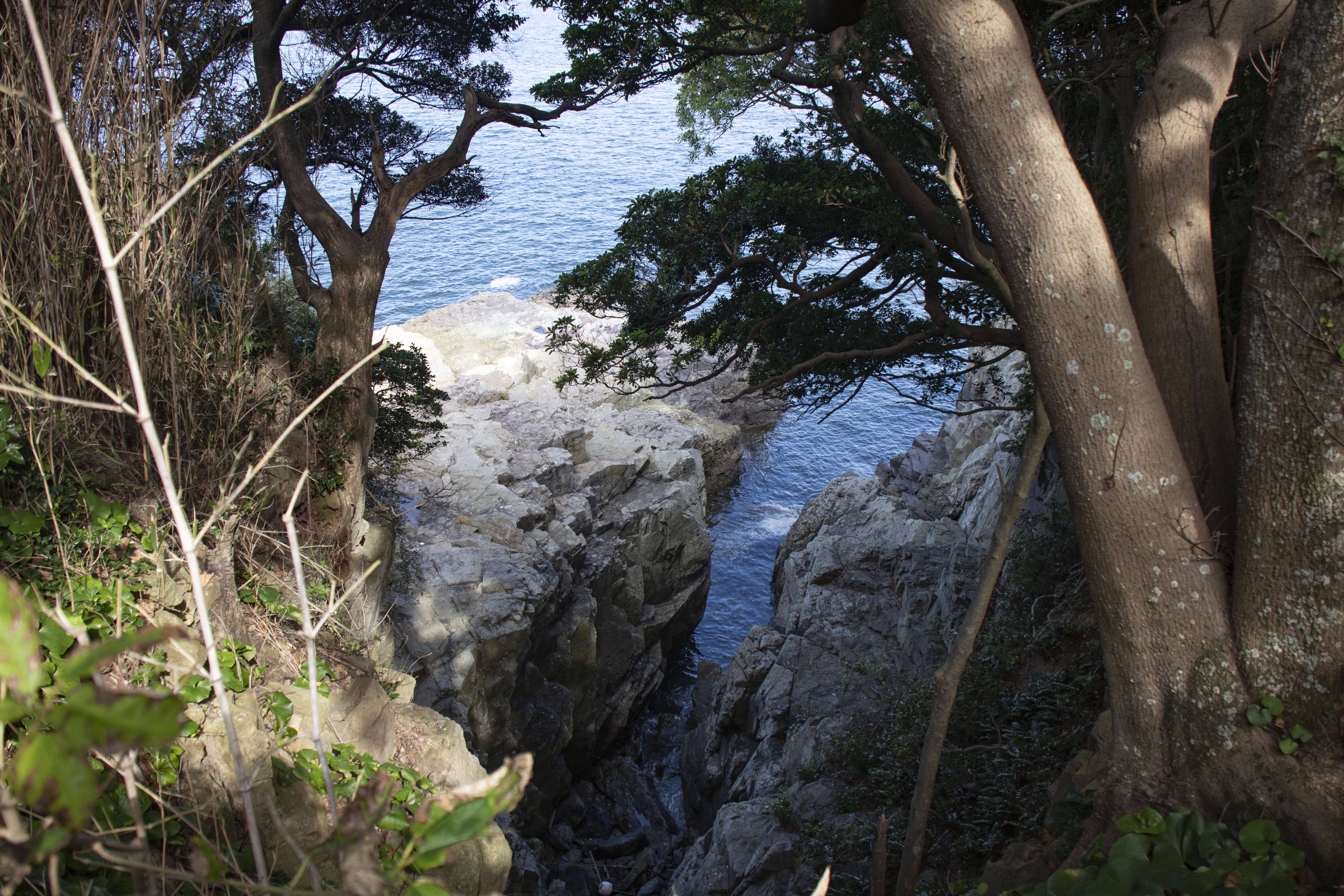 오동도