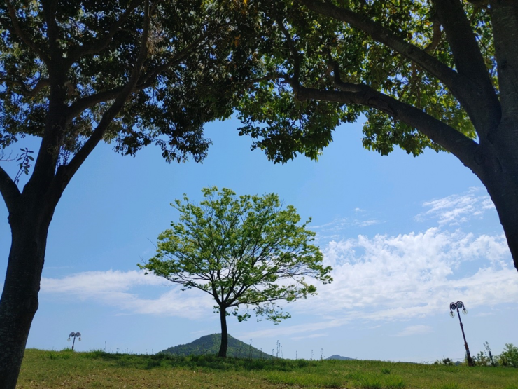 성산공원