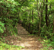 대교식당 돌게장