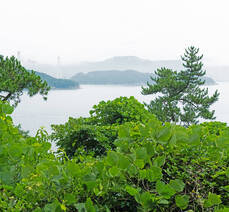 대교식당 돌게장