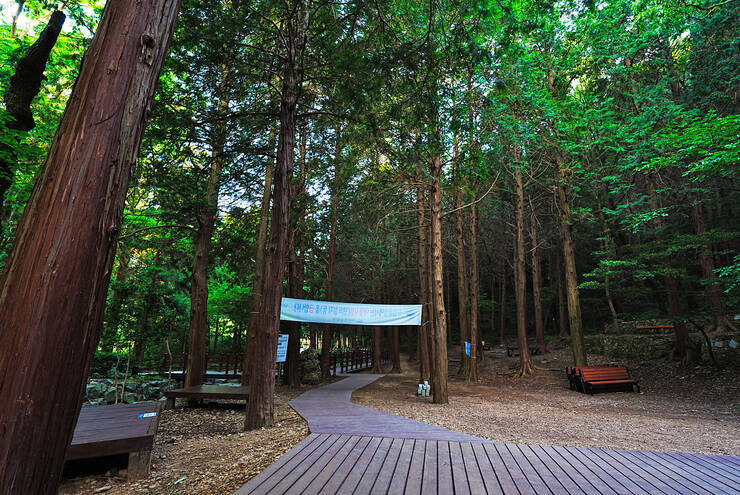 미평산림욕장_12.jpg
