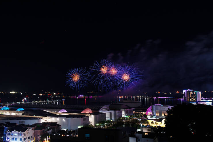 DSD_1239 복사.jpg