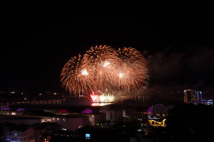 DSD_1443 복사.jpg