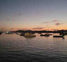 남도에서 한 달 여행하기 - 여수에서 보낸 한 주 