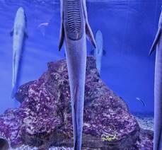 낭만버스와 함께 하는 모녀여행