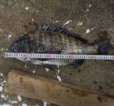 계동에서 보낸 가족 바다 나들이