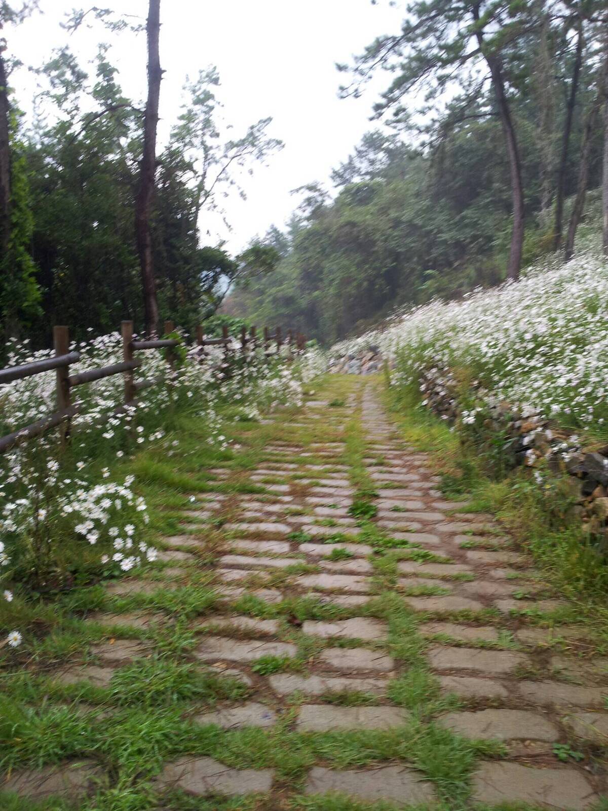 제11회 여수국제청소년축제「국제교류캠프 참가자」모집의 4번째 이미지