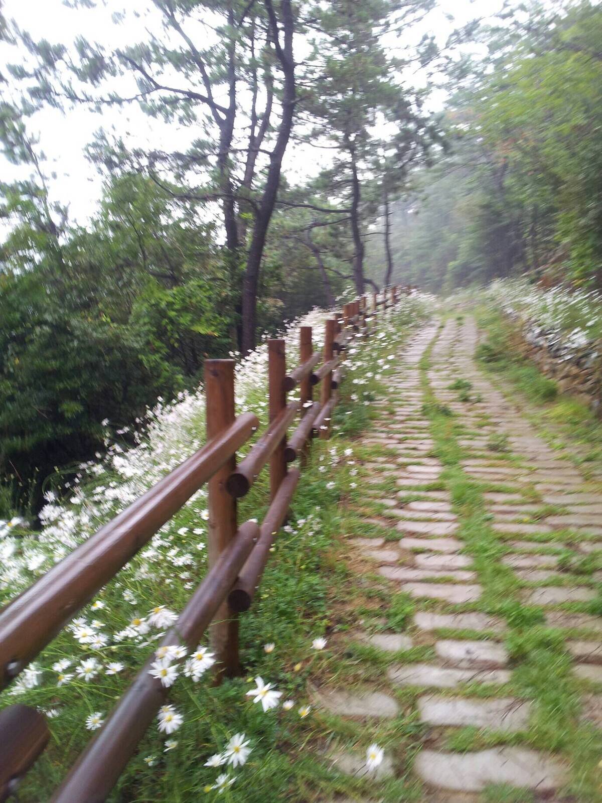 제11회 여수국제청소년축제「국제교류캠프 참가자」모집의 5번째 이미지