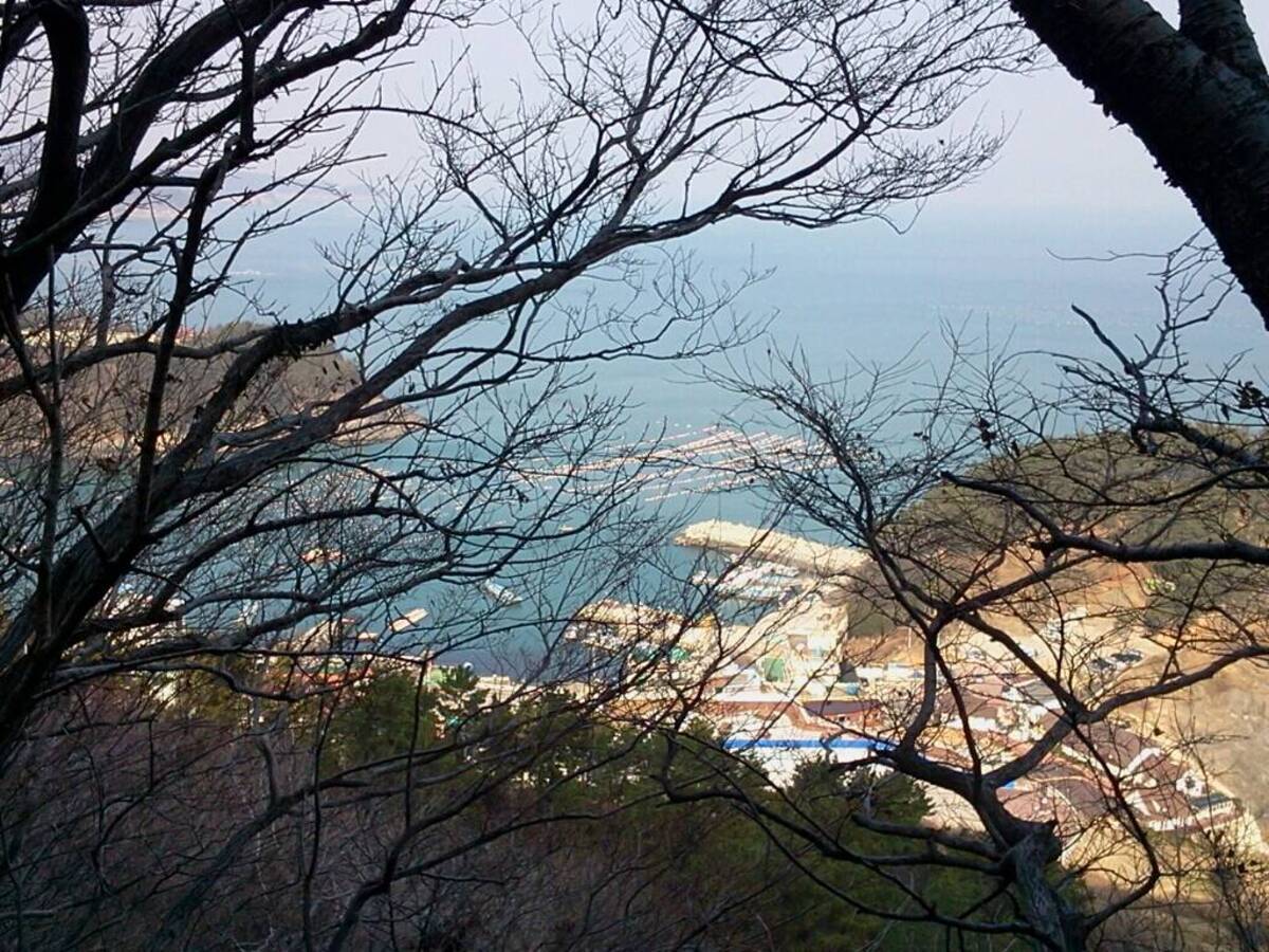 포스터(2007)의 4번째 이미지
