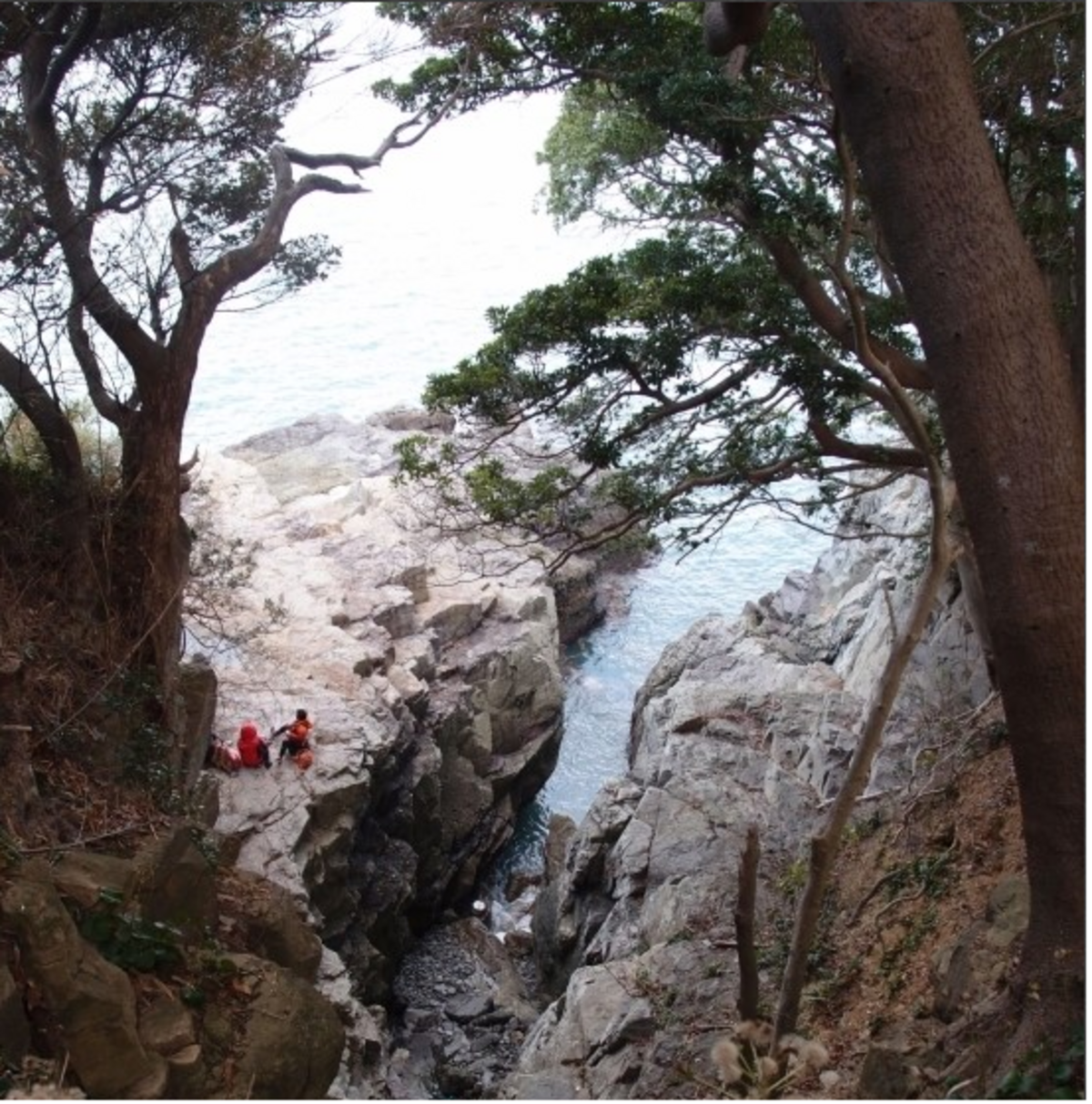 리플릿(2008)의 5번째 이미지