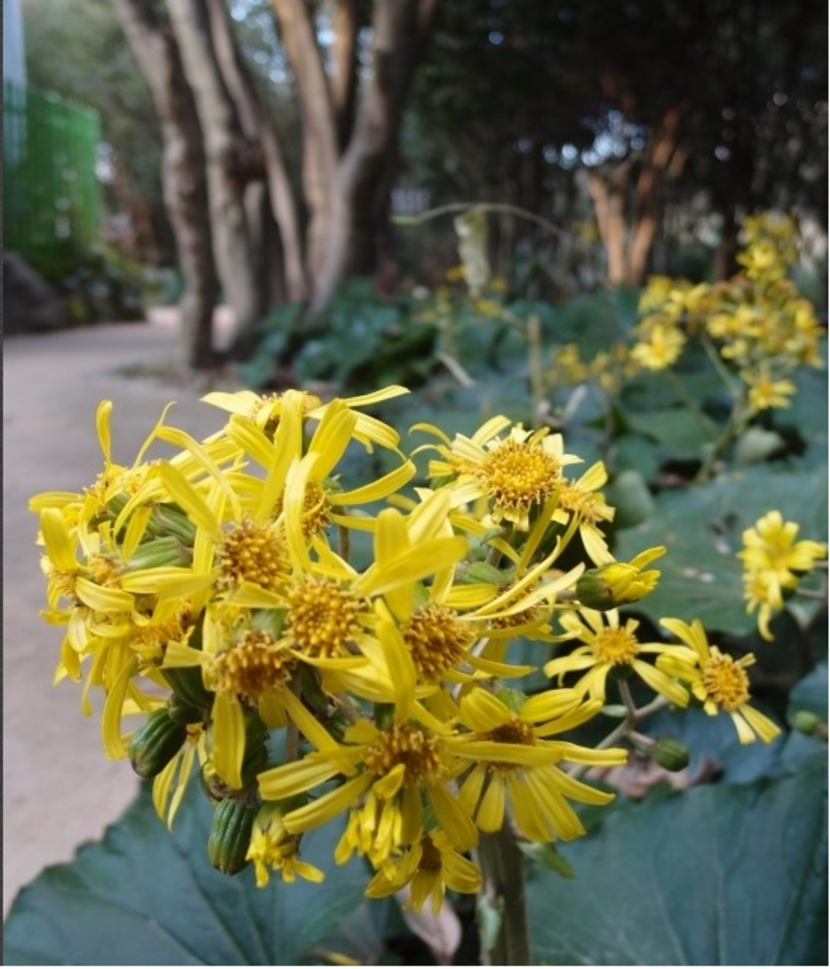 리플릿(2008)의 6번째 이미지