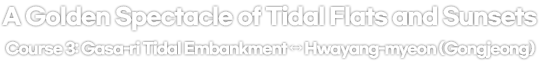 A Golden Spectacle of Tidal Flats and Sunsets 
Course 3: Gasa-ri Tidal Embankment ↔ Hwayang-myeon (Gongjeong)