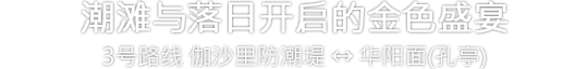 潮滩与落日开启的金色盛宴 3号路线 伽沙里防潮堤 ↔ 华阳面（孔亭）