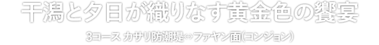 干潟と夕日が織りなす黄金色の饗宴 3コース カサリ防潮堤↔ファヤン面(コンジョン)