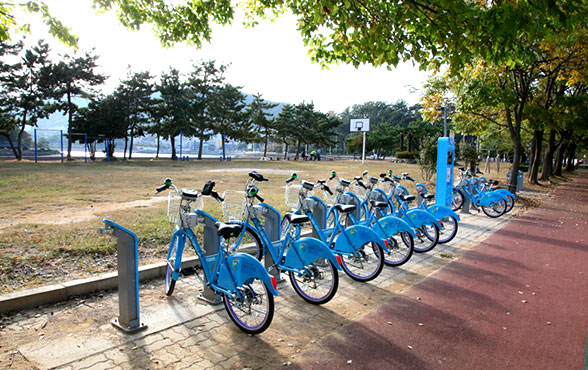 공원에 자전거를 나란히 세워놓은 모습