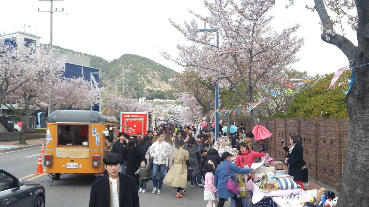 수많은 사람들의 행복이 벚꽃과 함께 퍼지네