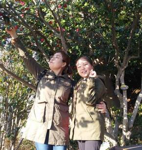 봄향기 가득한  여수 오동도에서