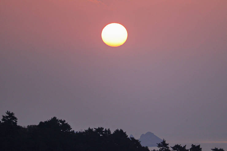 손죽도