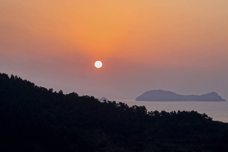 손죽도