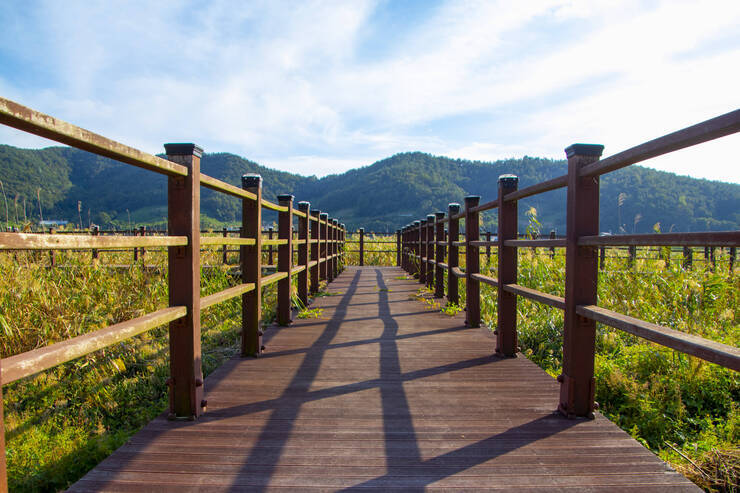 가사리생태공원