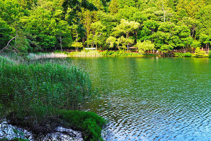 미평산림욕장_01.jpg