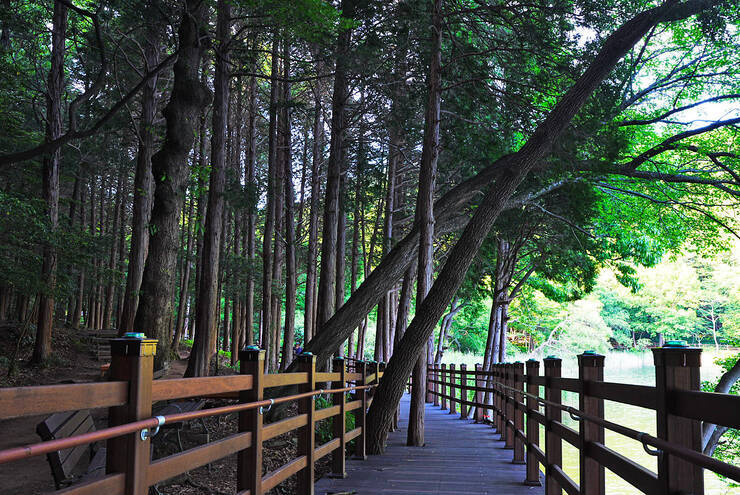 미평산림욕장_06.jpg