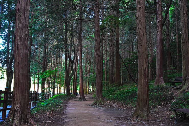미평산림욕장_08.jpg