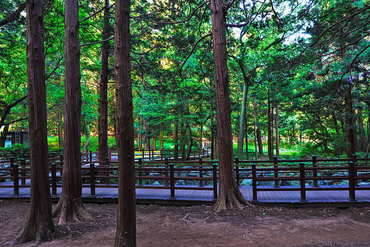 미평산림욕장_09.jpg
