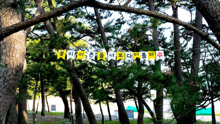 솔밭해수욕장_17.jpg