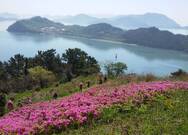 상화도