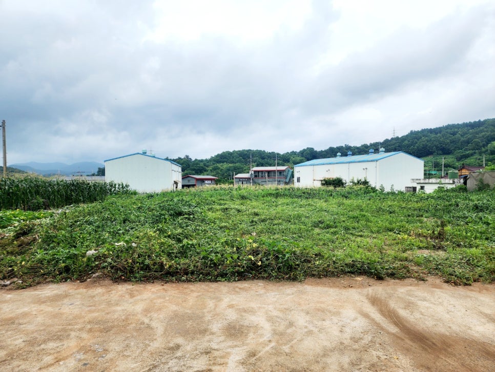 [20240711] 주삼지구 신중년 사회공헌사업 마을 환경정리