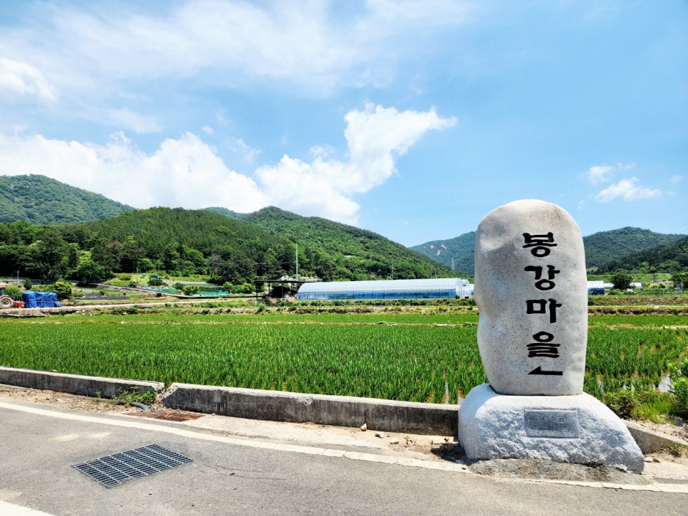 [20240711] 주삼지구 신중년 사회공헌사업 마을 환경정리