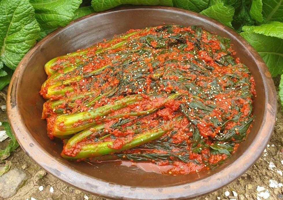 항아리 뚜껑담겨져있는 똑쏘는 갓김치 사진