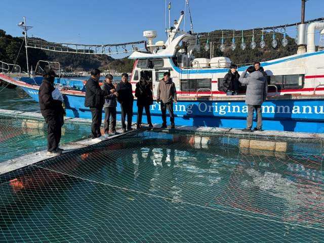 4-2여수시, 저수온 예비특보 속 양식어가 피해 예방 ‘총력’.jpg