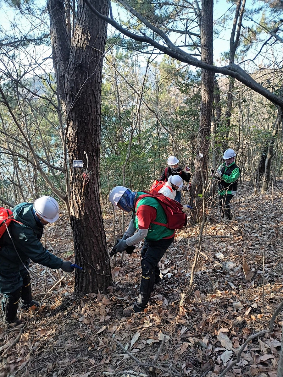 7 여수시, 소나무재선충병 예방나무주사 사업 추진.jpg