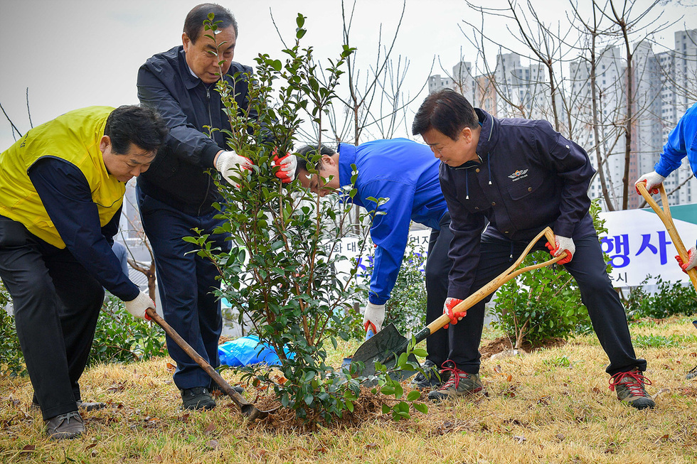 ▲ 정기명 여수시장이 나무심기 행사에 참여해 애기동백나무를 심고 있다.  