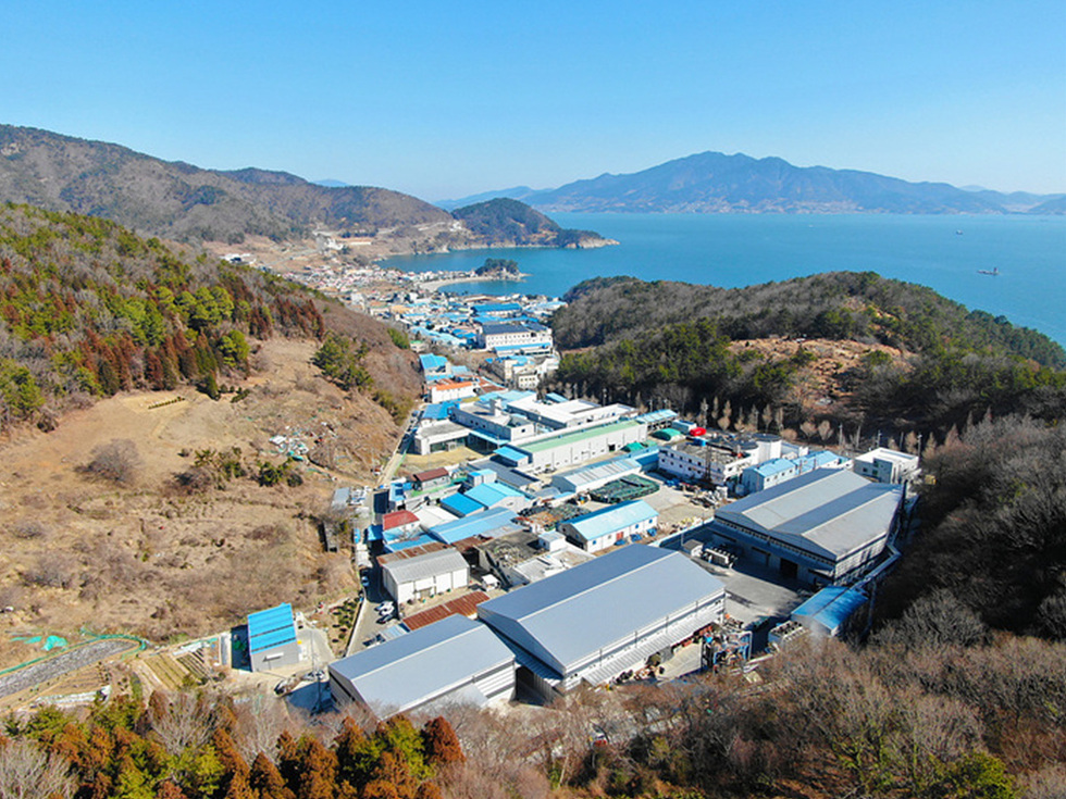 하늘에서 바라본 오천 시 풍경