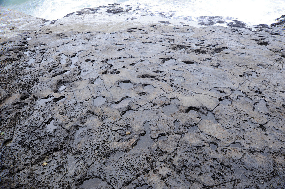 바다 근처의 바위 표면에 다양한 크기의 발자국과 물웅덩이가 있는 모습이다.