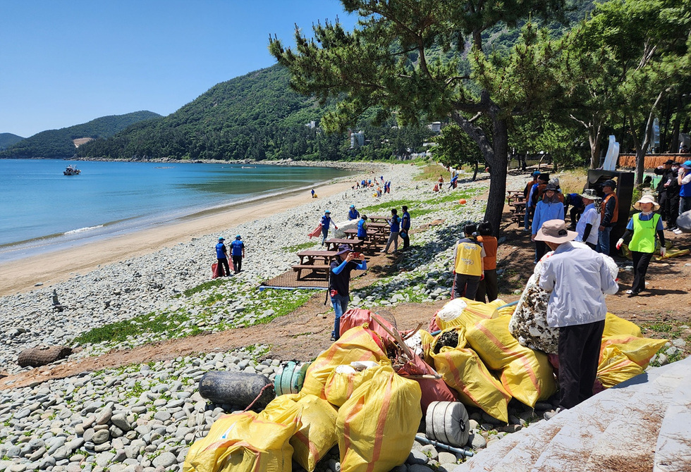 해변에서 사람들이 쓰레기를 수거하고 있는 모습이다. 여러 사람이 모여 해변을 청소하며 쓰레기를 담은 큰 봉투가 보인다.