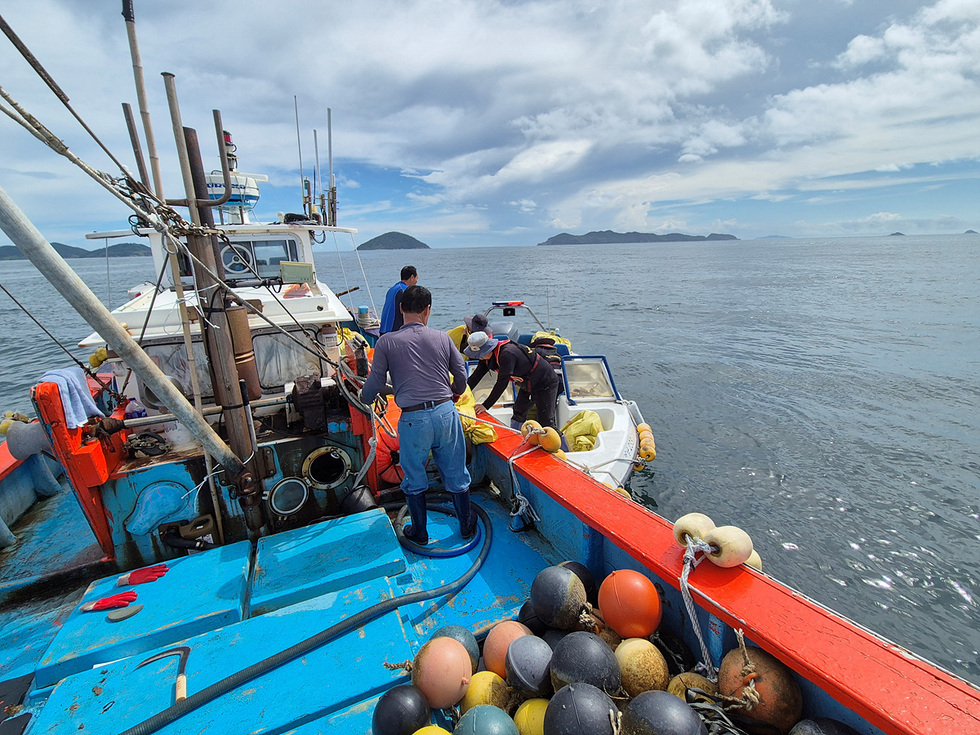 여수·고흥·완도 경계 해역에서 소형 보트에 탑승한 관계자가 바다 위 불법 김양식시설 부표를 철거하는 모습, 주변으로 섬들이 보임