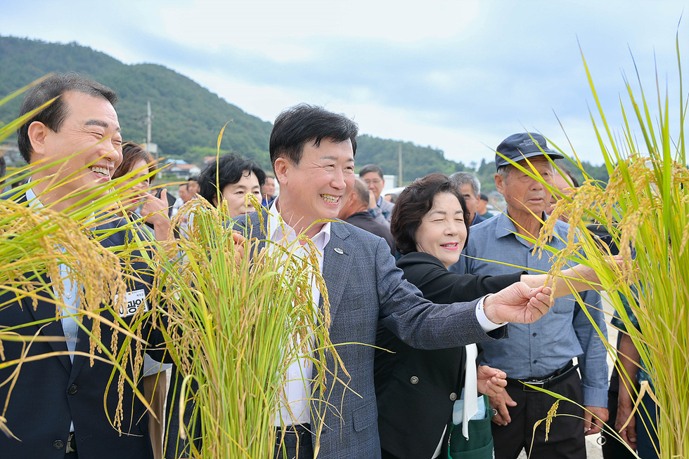 여수시 소라면 대곡마을에서 정기명 시장과 농업인들이 벼 수확을 축하하며 함께 웃고 있는 모습