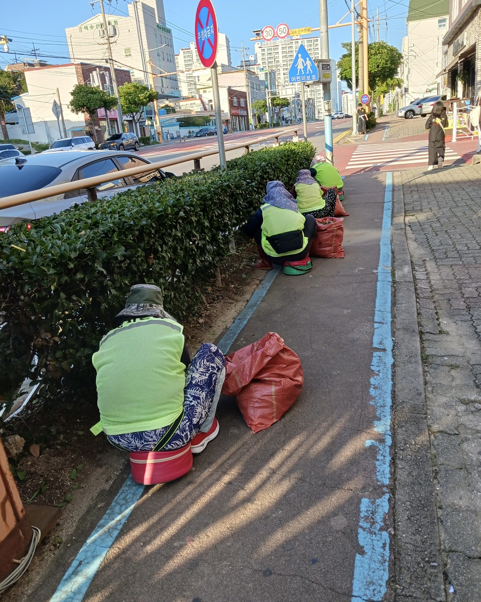 1-2 노인역량활용 선도모델 사업 2년 연속 성과.jpeg