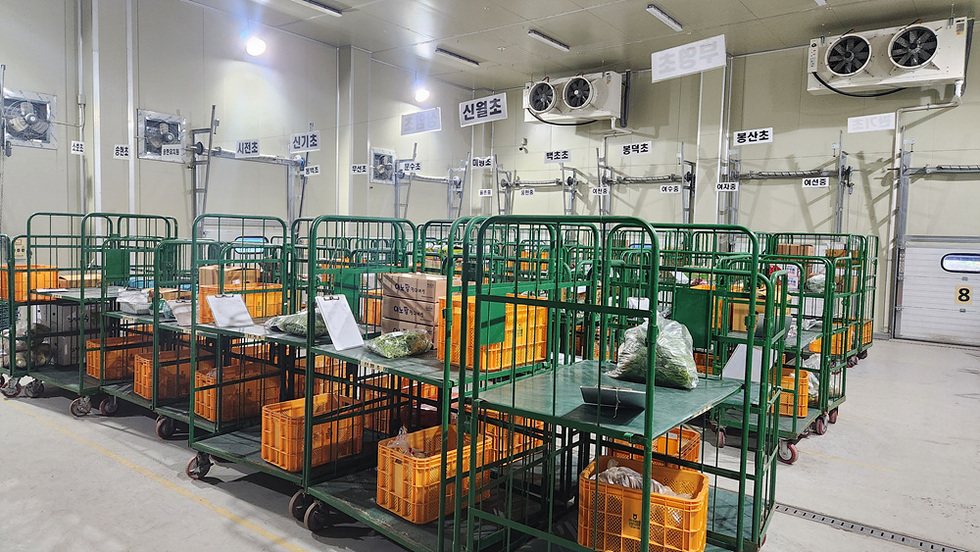 5-2 여수시, 학교급식 학부모 부담 덜고 효율성 높인다… 지침 운영 개편.jpg