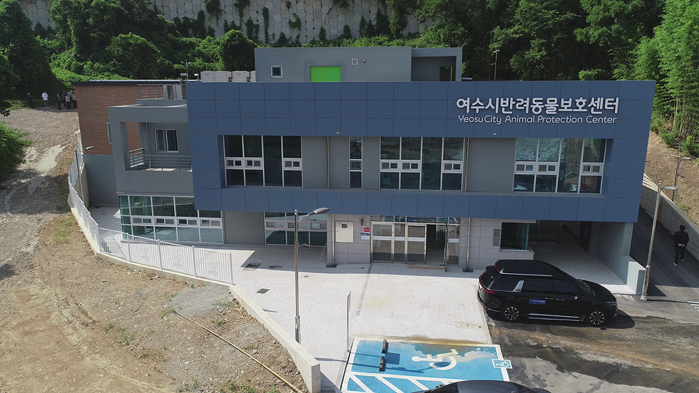 7 여수시, 2026년 길고양이 중성화수술 지원사업 시행.jpg