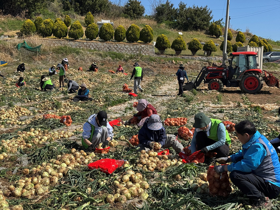 9-1 여수시 농업기술센터, 봄철 농번기 농촌 일손 지원 ‘앞장’.jpg