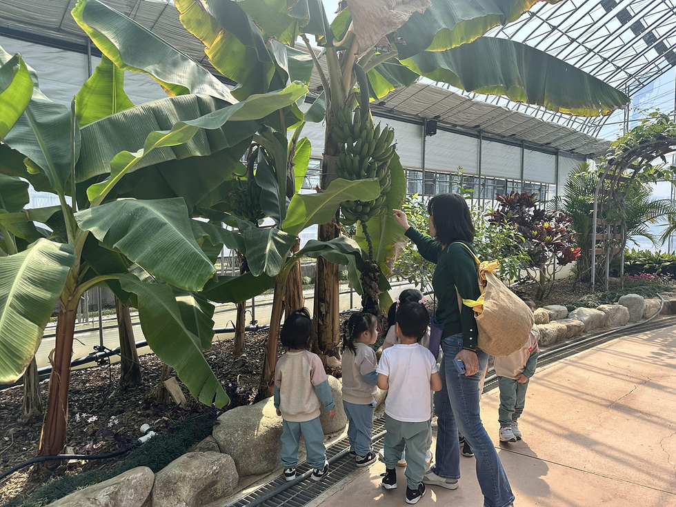 6-2 여수시농업기술센터 농촌체험장, 봄꽃 가득 힐링 공간 조성.jpg