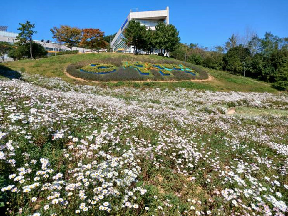 5-1 여수시 “선사유적공원 꽃구경으로 힐링하세요”.jpg