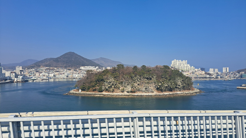 2-1 여수시, 장군도 섬 숲 백화현상 피해대응 나서.jpg